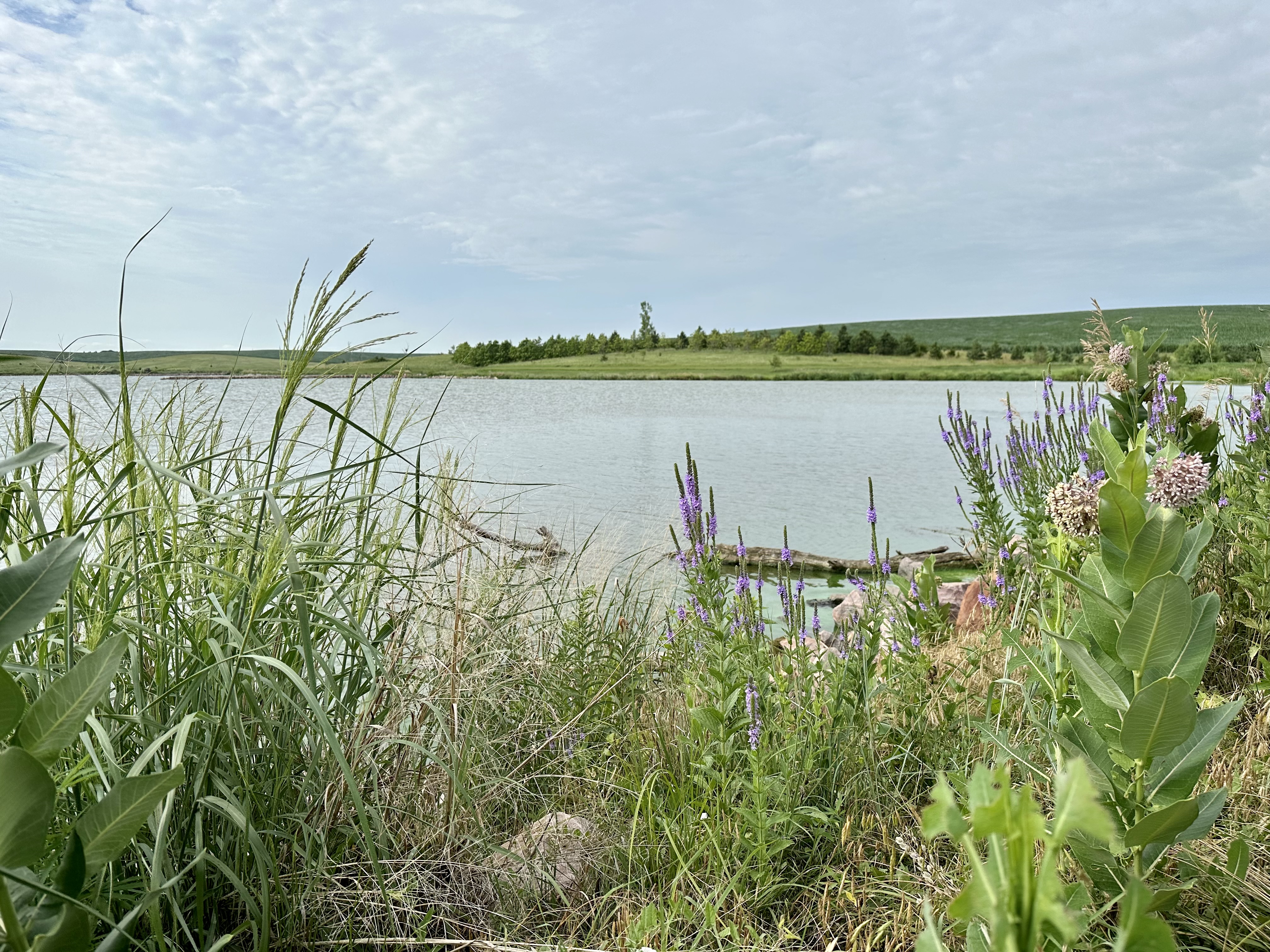 Maple Creek Recreation Area