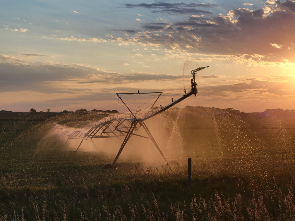 Irrigation at sunset