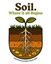 Soil