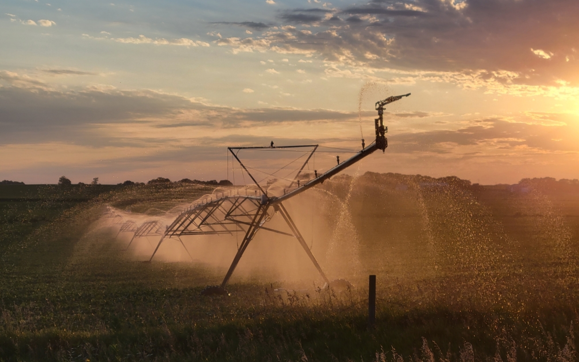 Irrigation at sunset