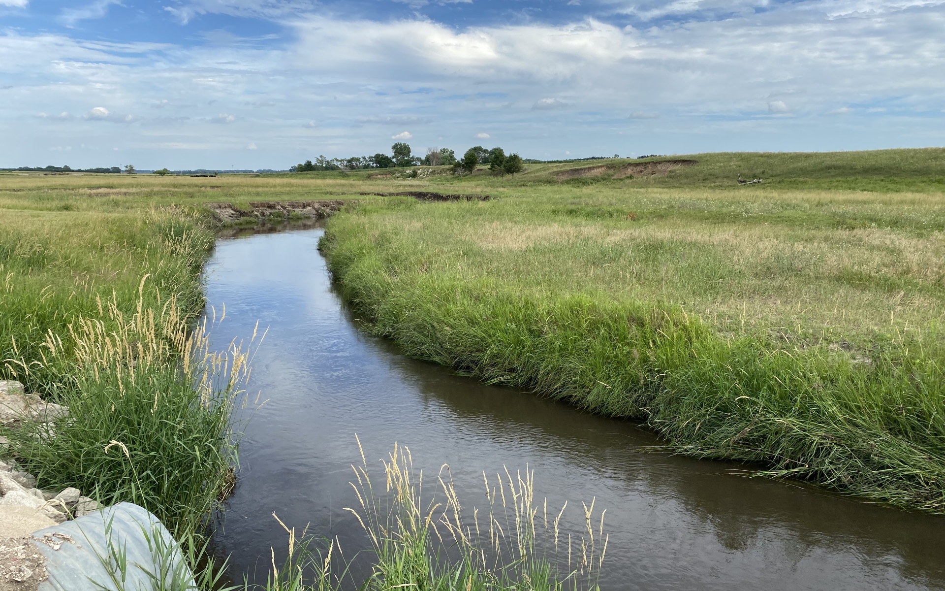 Meandering stream