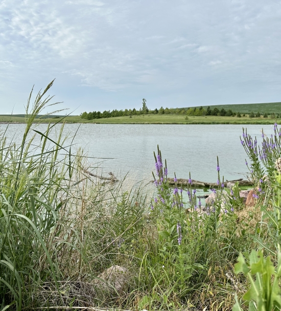 Maple Creek Recreation Area
