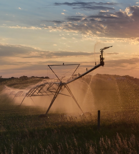 Pivot at Sunset