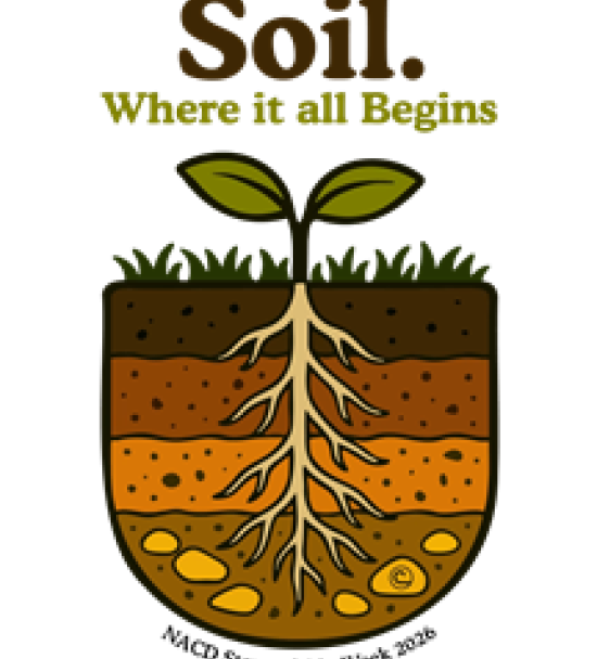 Soil
